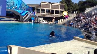 One Ocean Seaworld San Diego
