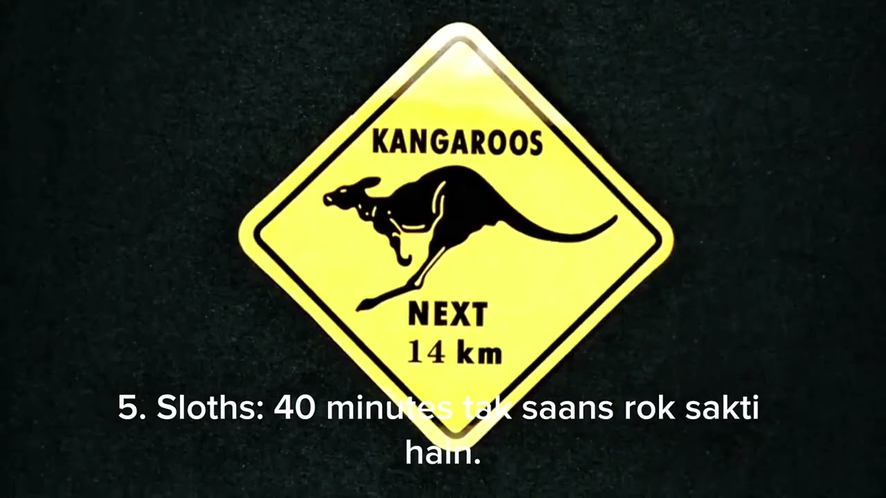 Animal facts video on YouTube channel ❤️ plz support account 