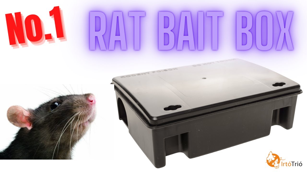 Best Bait Station For Rats? - Professional Rat Bait Station - Best