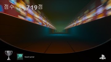 Voxel runner (SILVER)