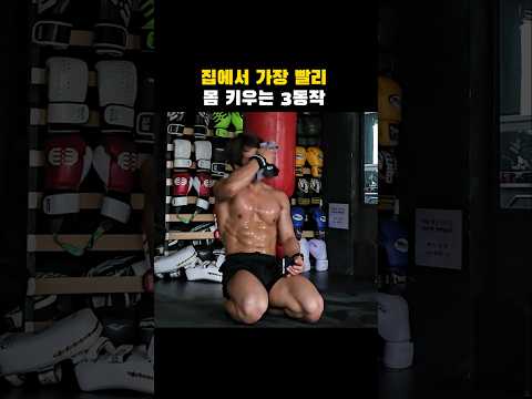 마스터 해야하는 맨몸 운동 3대장 #홈트 #맨몸운동 #<strong>크로스핏</strong> #신디 #스파이더맨운동법