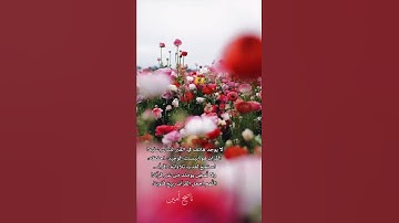 تلاوة بأسلوب جميل جدّا 🥀🍂 //سورة الحج تلاوة خاشعة // تلاوة خاشعة مؤثرة مطمئنة 🕋❤️