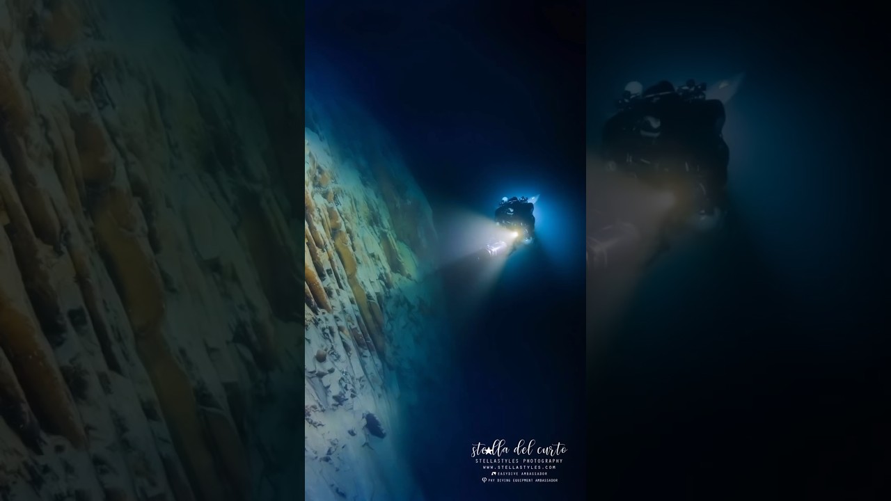 If you’re visiting Switzerland, make sure to add this dive site to your bucket list! ✈️🐠