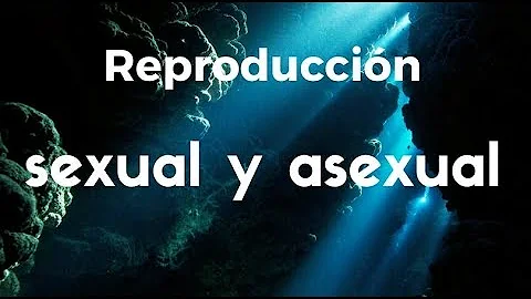 ¿Puede una mujer humana reproducirse asexualmente?