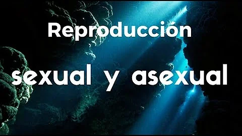 ¿Puede el ser humano reproducirse asexualmente?