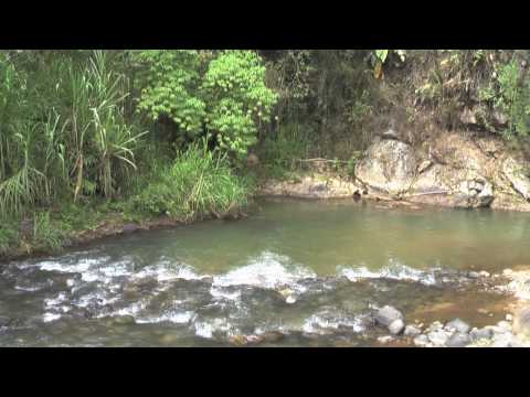 Moro Moro El Oro Ecuador Los Andes
