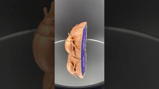 Ladybugs On Purple Agate Geode Copper Electroformed