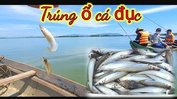 VUONG LT VLOG | câu cá biển | Một ngày bội thu cá đục cùng anh,em