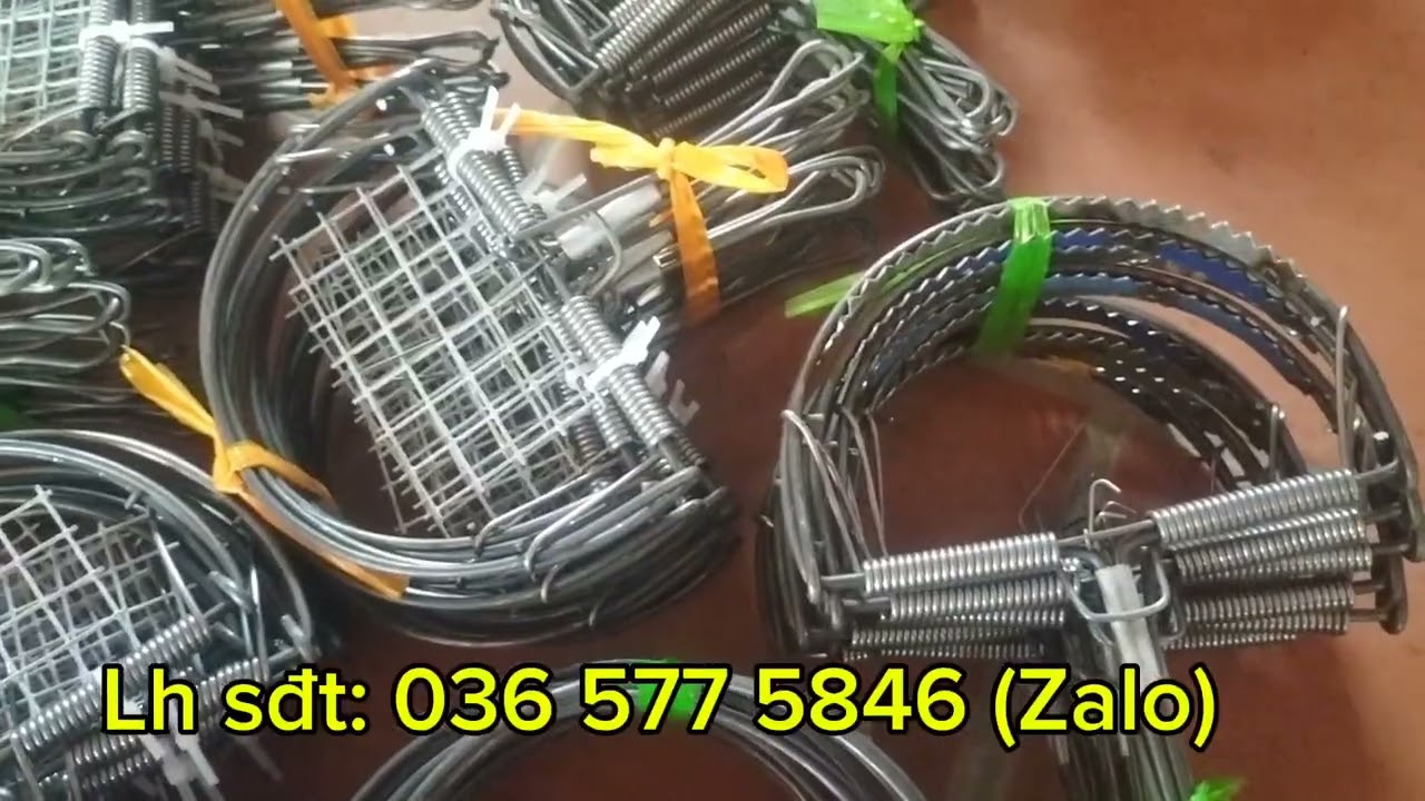 Cạm kiềng 9cm, bán nguyệt nhỡ đại đánh chuột sóc cò diệc #nongnghiep