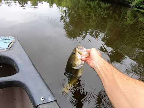 Fishing at a New Pond with V&M Baits J-Bug from Mystery Tackle Box! 