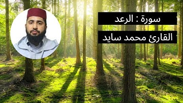سورة الرعد بصوت القارئ محمد سايد
