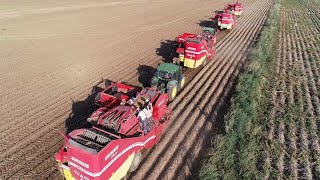 4 Maki̇na İle Ci̇psli̇k Patates Hasadi