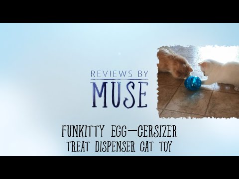 PetSafe Funkitty Egg-Cersizer Treat Dispensing Cat Toy - Reviews by Muse, Episode 05