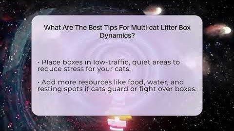 What Are The Best Tips For Multi-cat Litter Box Dynamics? - Happy Cat Handbook
