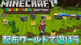【ゆっくり実況】マインクラフト配布ワールド　マリオの世界を完全再現したテクスチャ