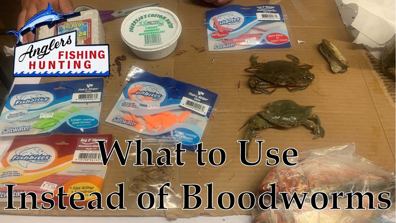 What to Use Instead Bloodworms 