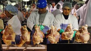 Wage Theft - How Employers Steal $50 Billion A Year From US Workers