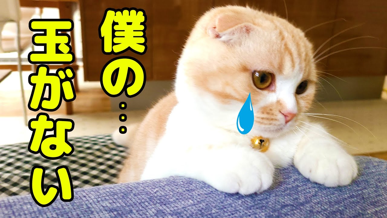 ついにこの日が来ました 長い間本当にありがとうございました Youtube