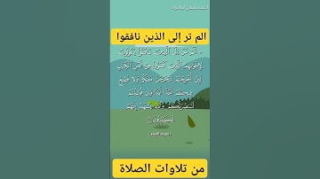 الم تر إلى الذين نافقوا #احمد_سليمان_ابوالبراء #اكسبلور #راحة_نفسية #تلاوة #explore