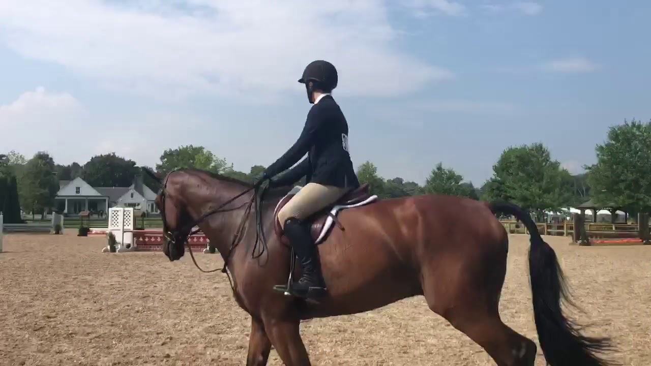 Elena Mihaly FCHC August Horse Show, Junior Equitation Champion