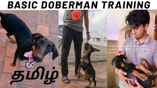 Basic DOBERMAN Training | Tamil | Dog Training