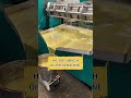 Automatic Oil Press Machine Working | Peanut & Sunflower Oil Extraction Machine #oilpressmachine