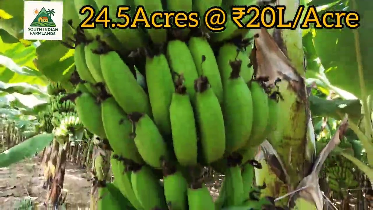 24 Acres of farmland  for sale near Penukonda AP, check description for details ping on 8152943766