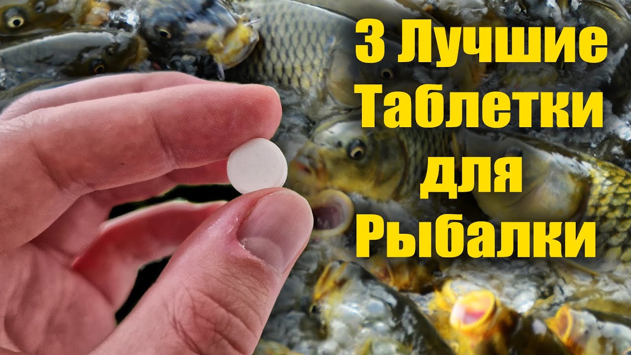 3 Лучшие таблетки для рыбалки
