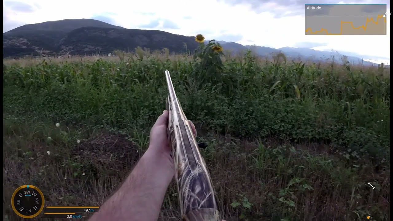 GARMIN VIRB X Slow Motion Quail Shot