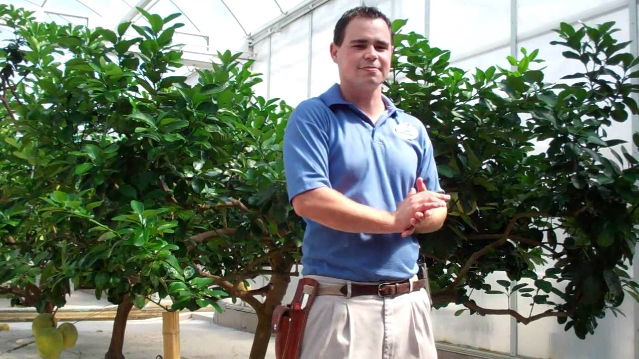 Behind the Seeds Tour- FULL TOUR