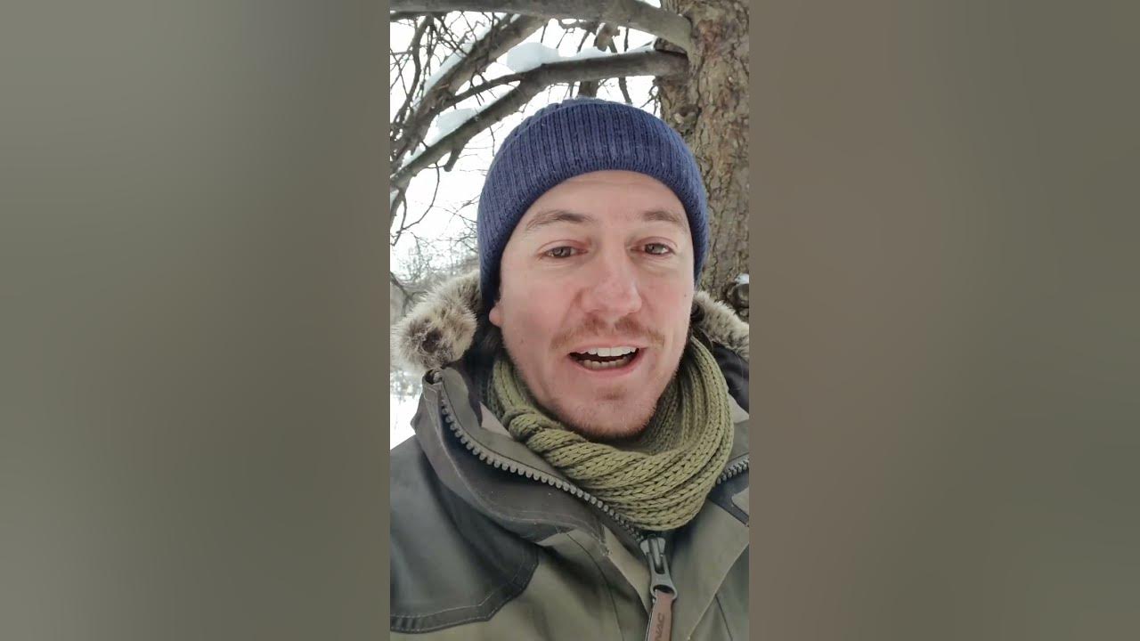 Масло Маргарин Сыр для птиц - YouTube