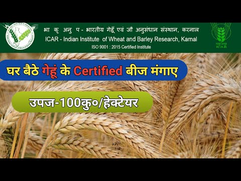 IIWBR से बीज मंगवाए | How To order Online wheat Seed | गेहूं का बीज | Hello farmer | certified seed