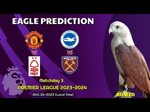 Manchester United vs Nottm Forest | Brighton vs West Ham | Premier League 2023/24 | Eagle Prediction