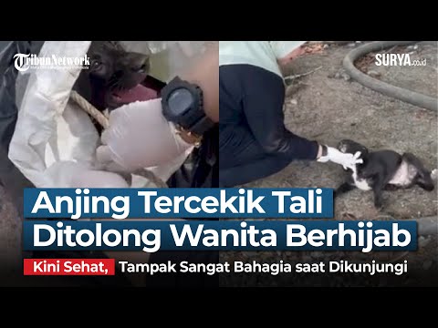 Video: Gadis Itu Keluar Dari Koma 5 Minggu Setelah Seekor Anjing Berbaring Di Tempat Tidurnya - Pandangan Alternatif