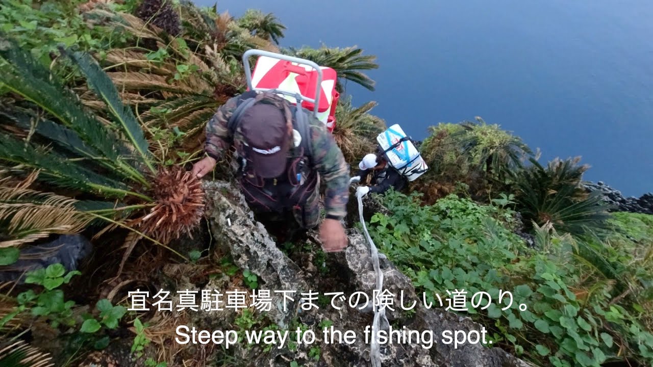 [沖縄釣り]宜名真駐車場下までの険しい道のり。Steep way to the fishing spot.