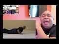 YALL ROASTED ME SOOO HARD LMAO!!........BlastphamousHD Try Not To Laugh Challenge (feat jinx)