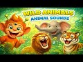 Wild Animals Names & Sounds 🦁🐘 | Learn Animals for Kids | TinyTonkey Studio