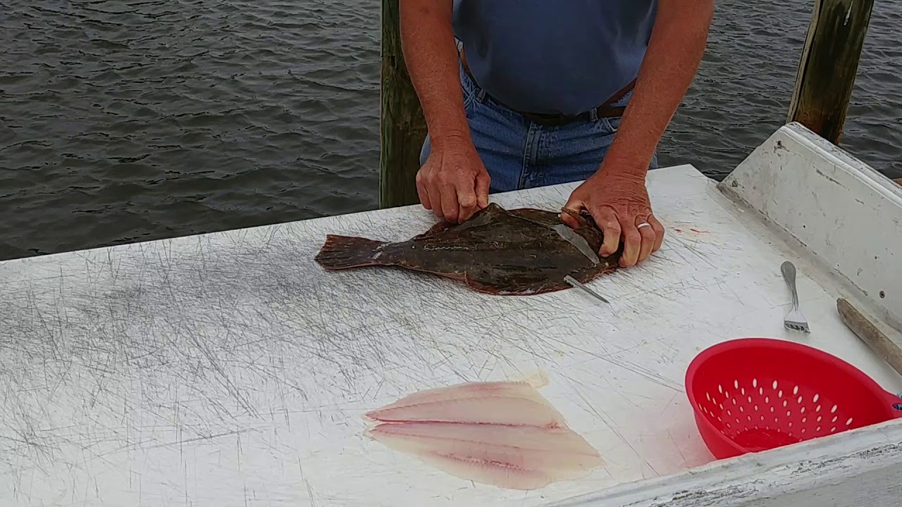 How to Fillet a Fluke YouTube