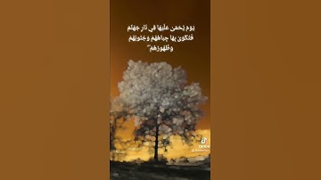 تلاوة هادئة الشيخ عبدالله القرافي