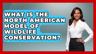 What Is The North American Model Of Wildlife Conservation? - The Marksman's Journal