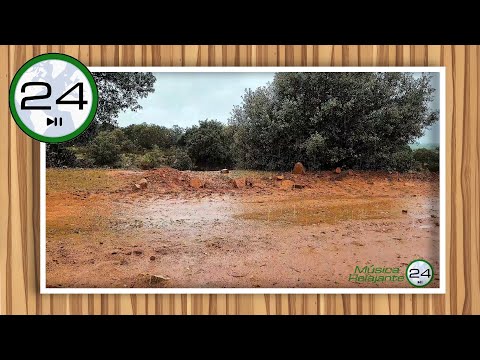 Sonido de LLUVIA 😴☔ Relajante para DORMIR sobre Charcos y Barro 🧱 Ruido de Lluvia - HD