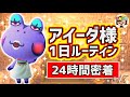 【あつ森#47】アイーダ様の1日ルーティン！24時間密着したらついに…❤あつまれどうぶつの森❤ゆっきーGAMEわーるど❤AnimalCrossingNewHorizons