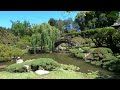 The Los Angeles County Arboretum and Botanic Garden Video Walk Around with Relaxing Music Gopro