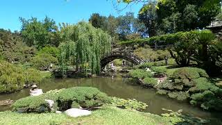 The Los Angeles County Arboretum and Botanic Garden Video Walk Around with Relaxing Music Gopro by Hanh Hoang 267 views 11 months ago 16 minutes