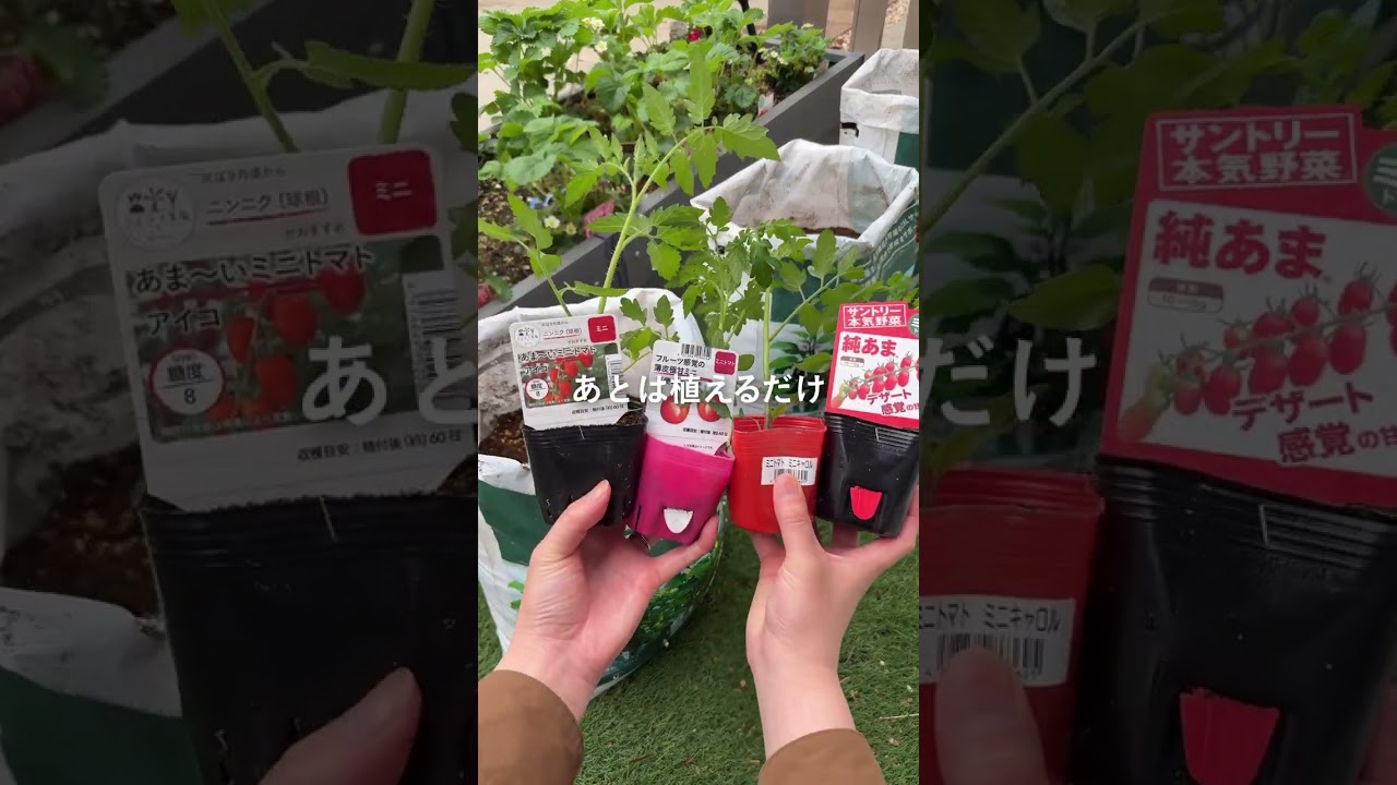 そのまま植えられる野菜の培養土 15L | 用土・肥料 通販
