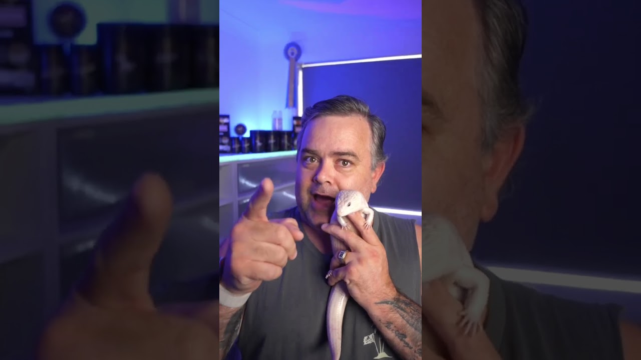 Buying Reptiles Online! 