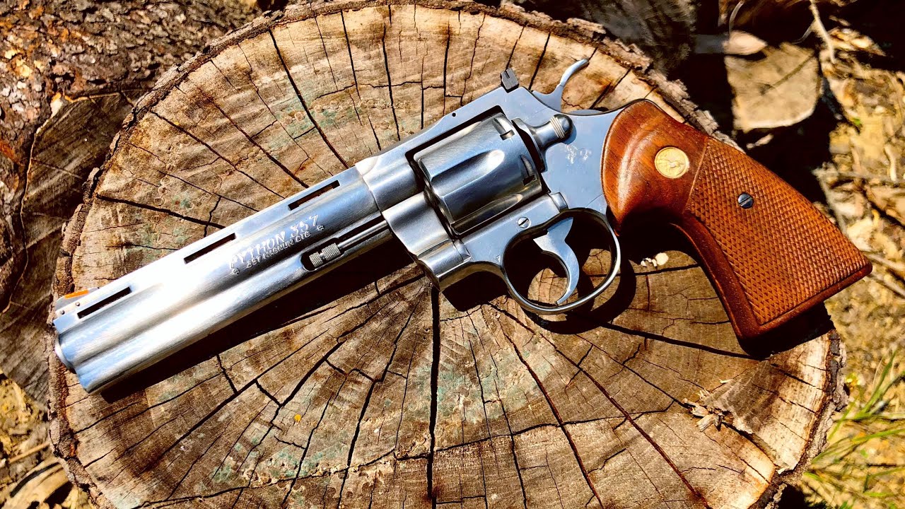 THE PYTHON IS BACK!!!! COLTS BIG NEWS!!!! - YouTube