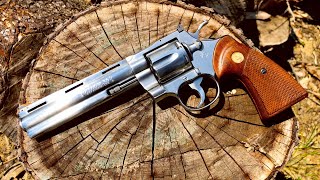 THE PYTHON IS BACK!!!! COLTS BIG NEWS!!!!