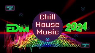 Party EDM 2024 🎵 House Relax 🎵 (Summer Mix 2024)