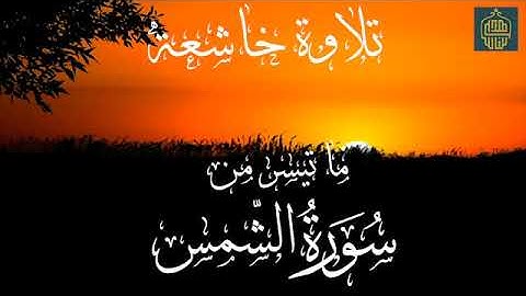 ما تيسر  من سورة الشمس☀️مقطع رهيب مقام نهاوند💚القارئ سعيد طوسي